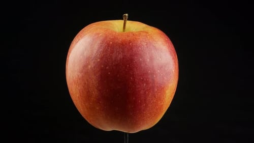 Rotating Red and Yellow Apple Close Up