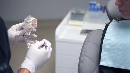 Dentist Explains Procedure with Teeth Model