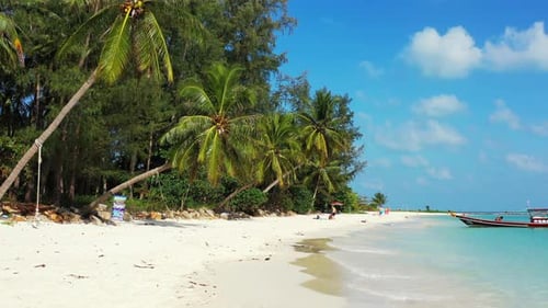 Calm clear water of turquoise lagoon foaming on white sand of exotic beach under palm trees bent ove