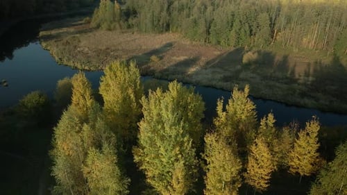 Park area. A winding river. Trees with yellow autumn leaves are visible. Aerial photography.