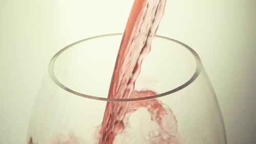 Vino tinto sobre fondo blanco