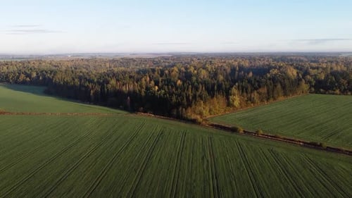 Drone ascends over a farming field and reveals beautiful autumn forest in the distance