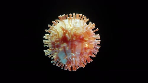Realistic 3D Animated Virus Particle