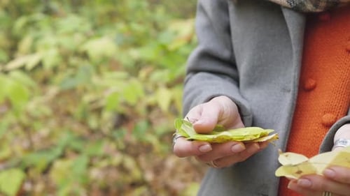 Woman Holding Autumn Leaves in the Forest