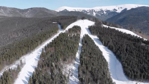 Aerial Ski Slopes with Skiers and Ski Lifts on Ski Resort. Snowy Mountain Forest