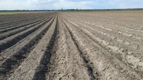 The Field is Plowed in Spring