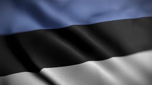 Estonian Flag Waving Loopable Background Animation