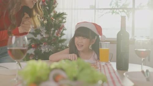 Festive Family Celebrates Christmas with Joyful Meal