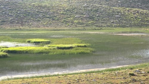 A Mountain Lake With Marsh, Swamp and Wetland