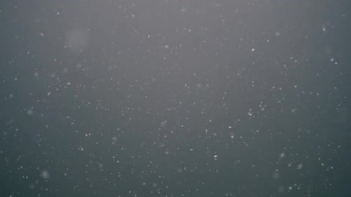 Winter, snow falling, snowflake in slow motion