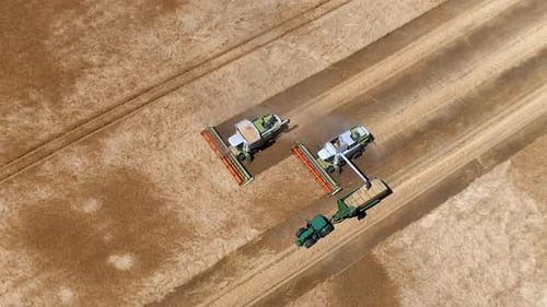 Combine Harvesters Working in Rural Grain Field