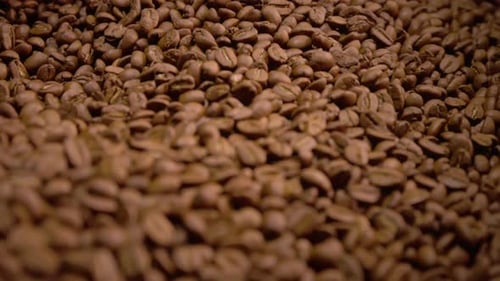 Close Up of Roasted Coffee Beans Being Stirred