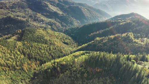 Green Forest at Sun Mountain Top Aerial