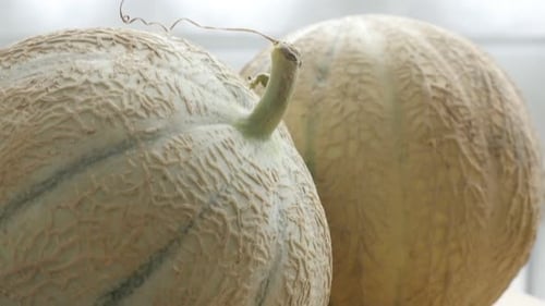 Paire de fruits melopepo de la famille des cucurbitacées sur une table de cuisine 4K 2160p 30 images par seconde, vidéo inclinable UltraHD - S