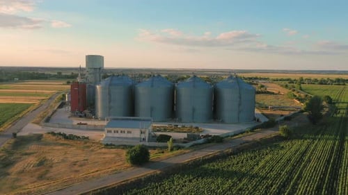 Silos à grains modernes au champ de tournesols en fleurs