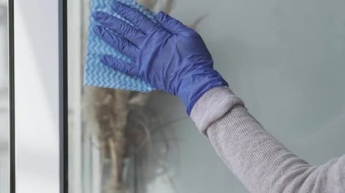 Cleaning the Window