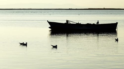 Fishing Boat And Seagulls In Calm Sea 1