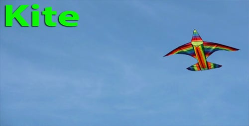 Flying Kite