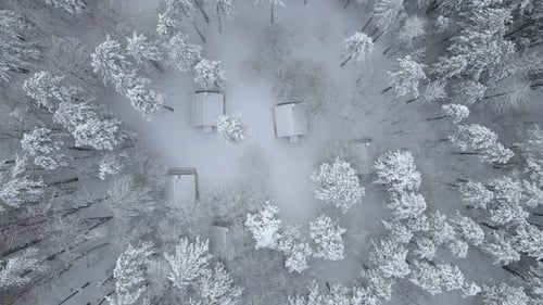 Topdown View of Snowcapped Houses in a Winter Forest