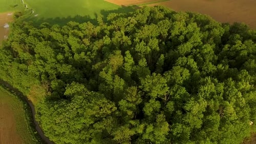 revealing drone shot from forest to farm