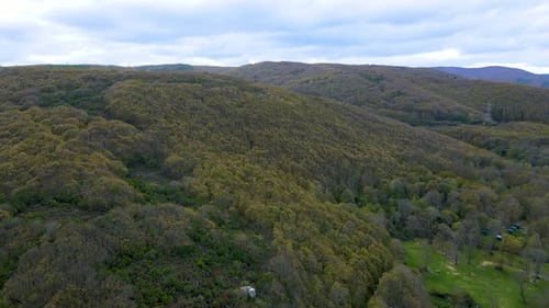 Aerial View of Rolling Green Forest Landscape