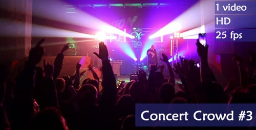 Enthusiastic Crowd Enjoying Live Band Concert