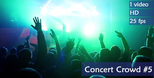 Energetic Crowd Enjoying Concert Under Bright Stage Lights