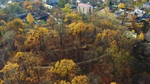 A Small Park or Square in the City Center. Flying Over the Autumn Forest in the Suburbs. Fall Park