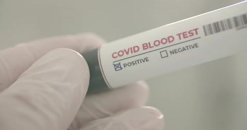 Infiziertes Blut im Blutschlauch