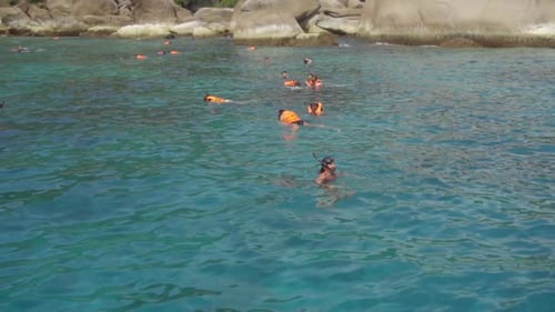 Snorkeling Near Similans