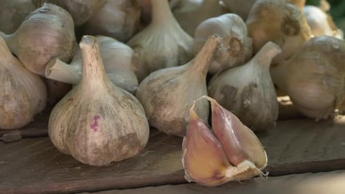 Fresh Garlic Bulbs Resting on Wooden Surface