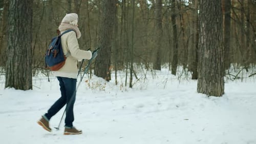 Active Adult Cross-Country Skiing in Snowy Winter Forest