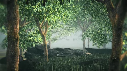 Forest Trees With Heavy Wind