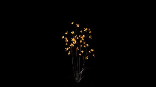 Fleur de feu pousse