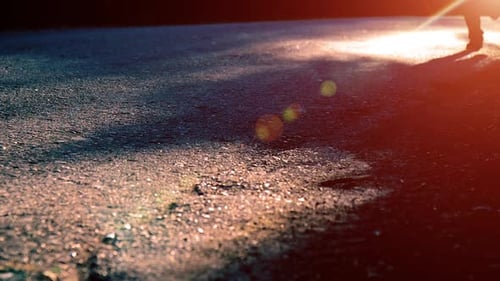 Sport Man Running at Asphalt Road. Rural City Park. Green Tree Forest and Sun Rays on Horizon.