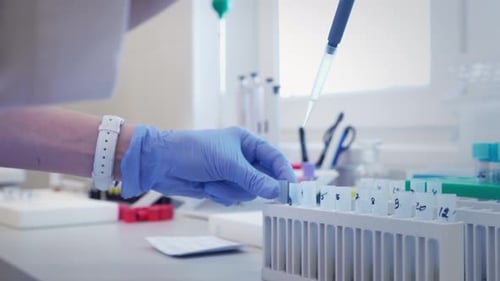 Lab Worker Pipetting Liquid into Test Tubes