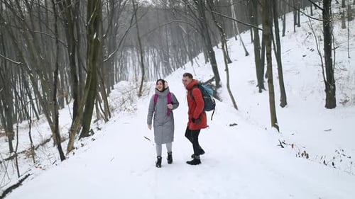 Couple de marche regardant autour de lui dans la forêt