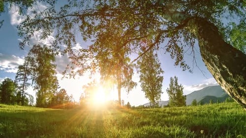 Mountain Meadow Time-lapse at the Summer or Autumn Time. Wild Nature and Rural Field. Motorised