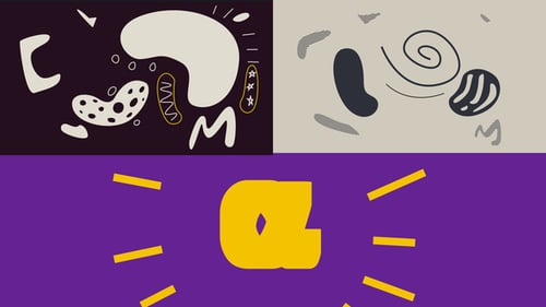 Freestyle Logo Intro
