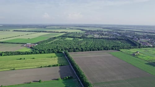 Green Grass Farmland Aerial