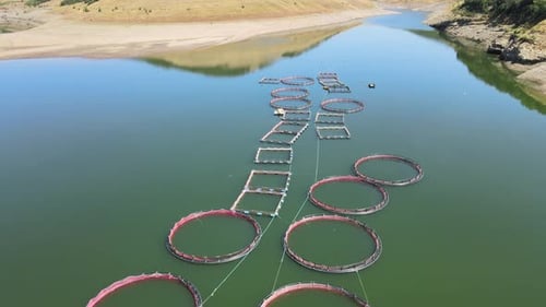 Fishing Cages farming