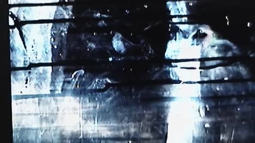Glitch Horror Dark Noise Overlay Weathered Screen