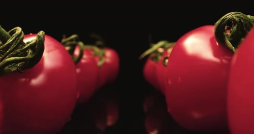 Fresh Red Vine Tomatoes Reflecting on Black Surface