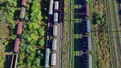 Railway Station with Lots of Lines and Freight Trains