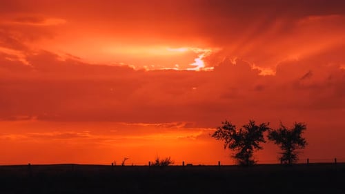 Time lapse of sun setting behind trees on a background. Timelapse of sunset