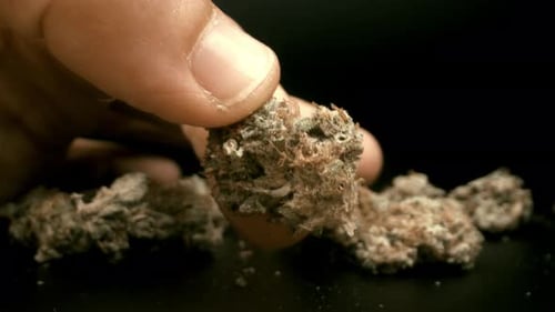 Close Up Finger Holding Organic Tan Material