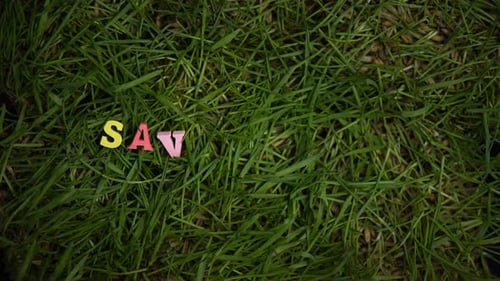 Save Planet Phrase on Green Grass, Environmental Conservation, Eco Volunteering