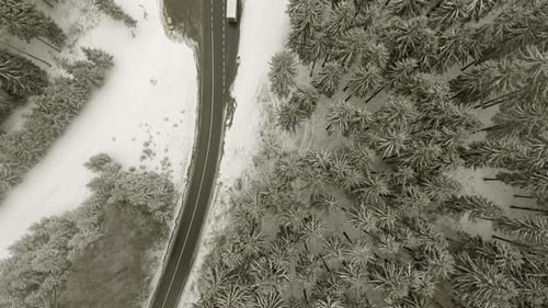 Route à travers la forêt d'hiver