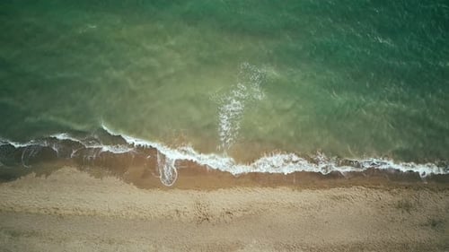 Aerial View of Tropical Beach