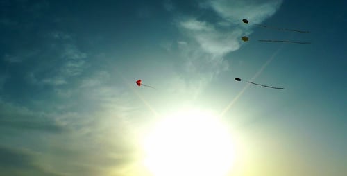 Kites